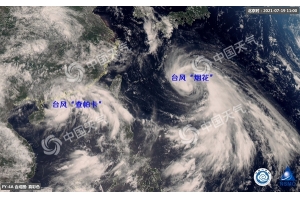 臺(tái)風(fēng)來襲，鹽田、蛇口港暫停提箱服務(wù)