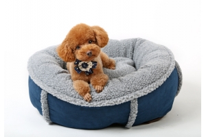 獨(dú)立站賣家做寵物用品用什么物流便宜？