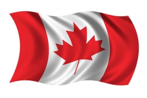 加拿大網購有望迎來新增長，直飛專線高效發貨