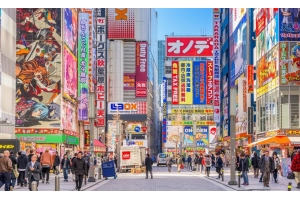 日本專線-日本佐川小包專線，可走化妝品