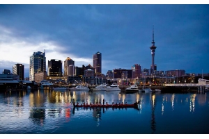 新年囤貨，新西蘭人跨年網購支出超過去兩年