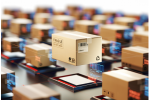 如何應(yīng)對(duì)國(guó)際物流中的貨物海關(guān)審批和檢查?