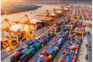 如何評估國際快遞公司的信譽?