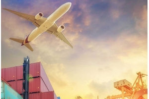 國際快遞服務是否提供貨物存儲的選項?