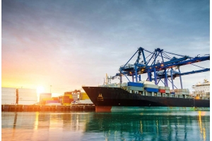 電商賣家如何應(yīng)對(duì)國(guó)際貨物運(yùn)輸中的海關(guān)審查?