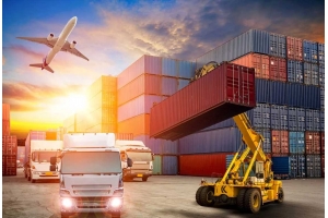 國際物流中的關稅與稅費解析