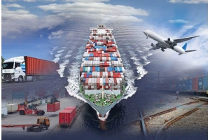 國際快遞中的關(guān)稅和稅費解析：了解如何處理跨境購物時的稅費問題