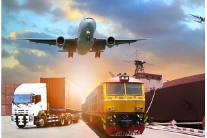 解析跨境電商平臺物流政策的最新動態(tài)和應(yīng)對策略