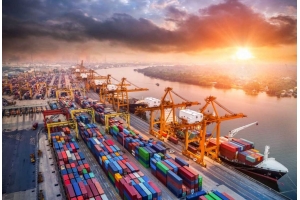 深度解析跨境電商平臺物流政策變化：挑戰與機遇