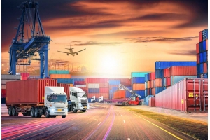 干花在國際快遞中的包裹丟失問題如何解決?