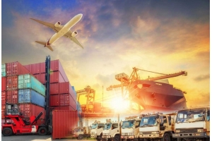 干花在跨境物流中的包裝材料有何選擇?