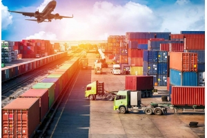 為什么木制品出口需要經(jīng)過熏蒸?