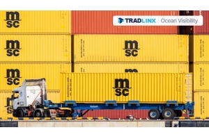 MSC貨物追蹤的全面指南，輕松掌握物流進度!