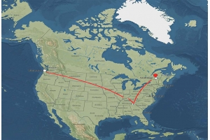 美國T86清關(guān)政策或?qū)⑷∠?亞馬遜賣家如何應(yīng)對新變局?